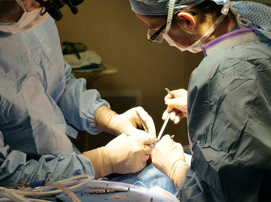 تطبيقات أجهزة التنظير والملحقات